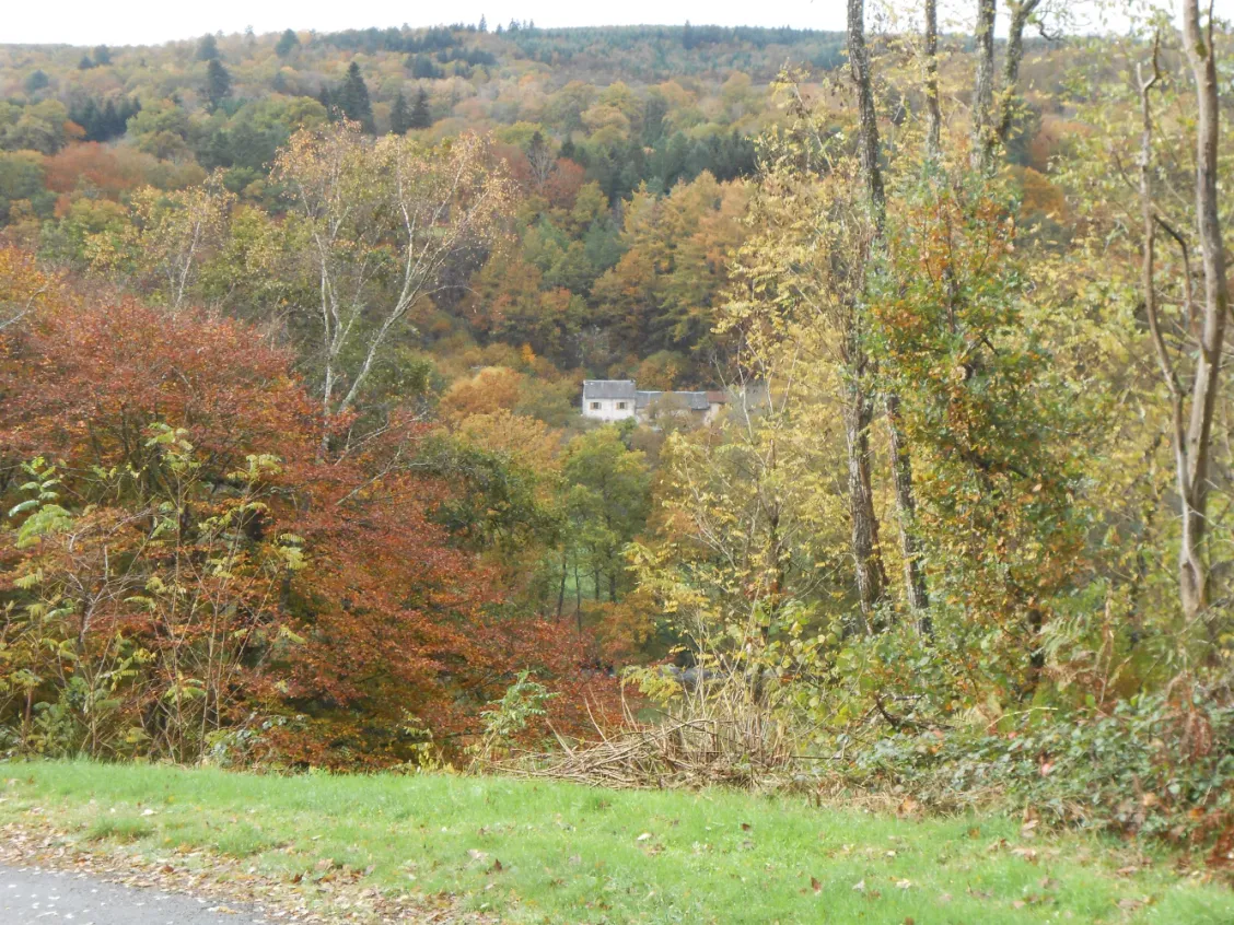 Fermette rénovée avec grange et terrain près d’Eymoutiers — photo 2