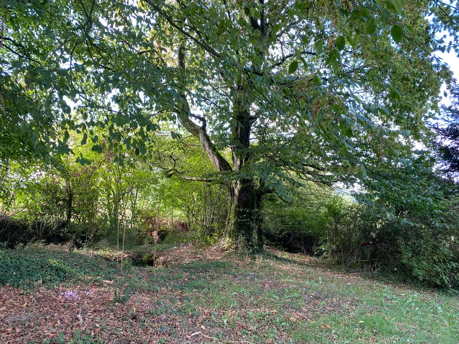 Maison de campagne en pierre à vendre à Chaulieu, Manche – terrain de 1 875 m² — photo 10