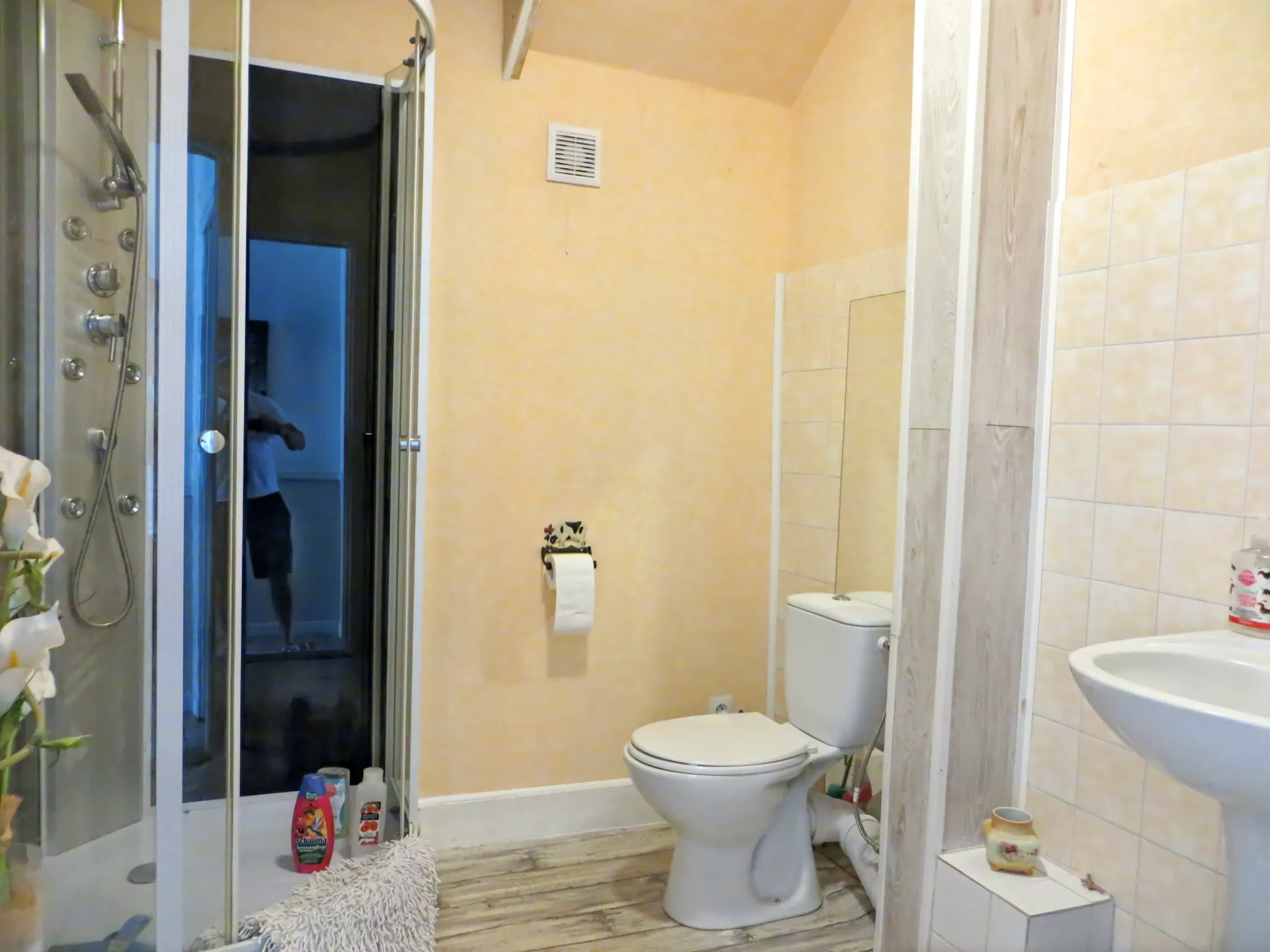 Maison avec gîte à rénover et jardin à Confolens, Charente — photo 9