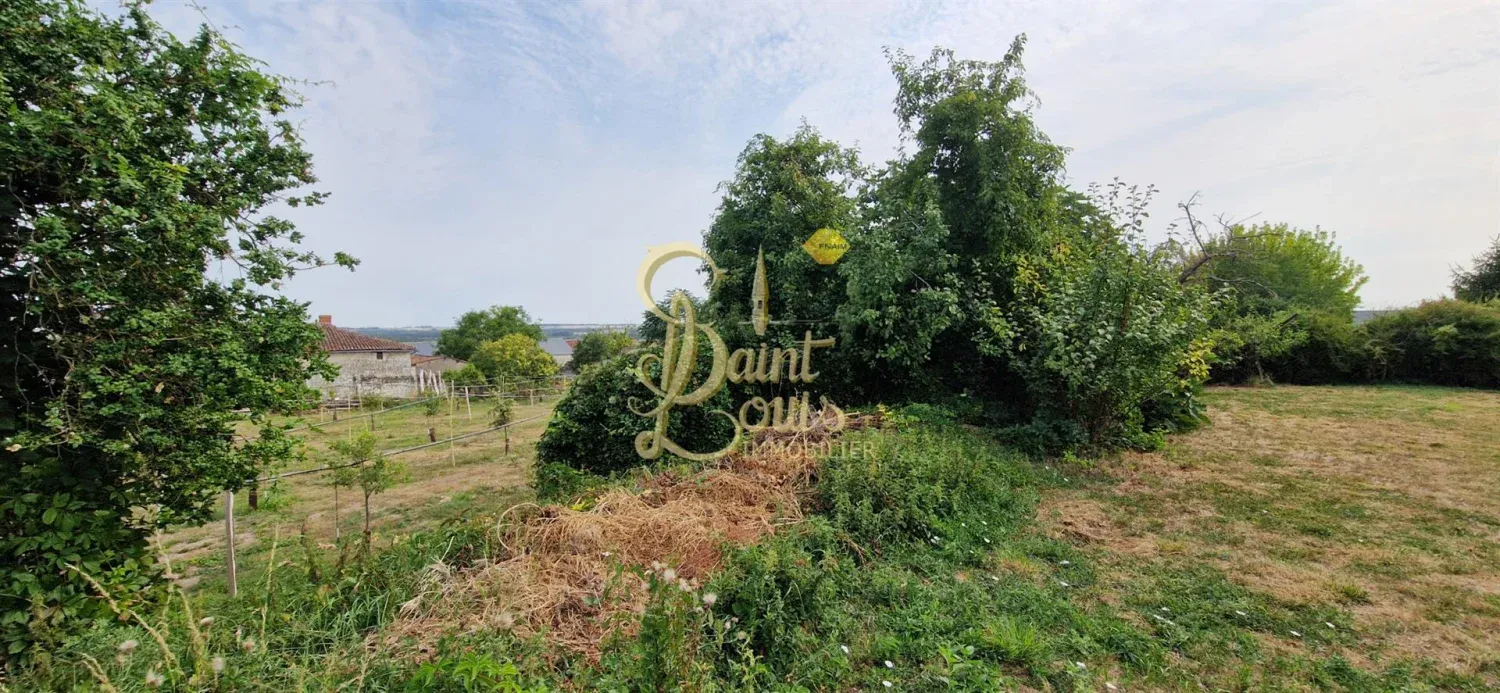 Séchoir à tabac avec jardin et vue panoramique à Faye-la-Vineuse, Indre-et-Loire — photo 3