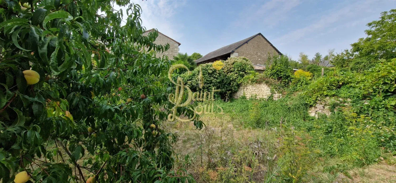 Séchoir à tabac avec jardin et vue panoramique à Faye-la-Vineuse, Indre-et-Loire — photo 9