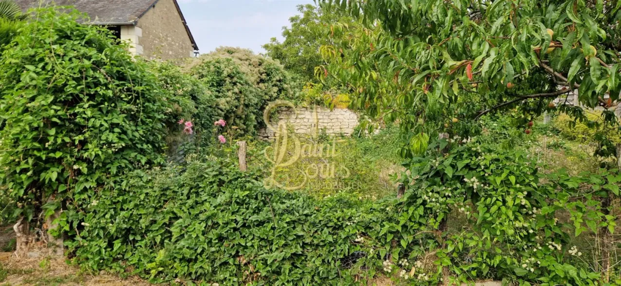 Séchoir à tabac avec jardin et vue panoramique à Faye-la-Vineuse, Indre-et-Loire — photo 10