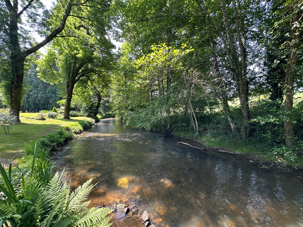 Moulin de campagne à vendre à Sarlande, Dordogne, avec étang et 5 240 m² de terrain — photo 2