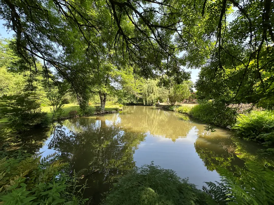 Moulin de campagne à vendre à Sarlande, Dordogne, avec étang et 5 240 m² de terrain — photo 5