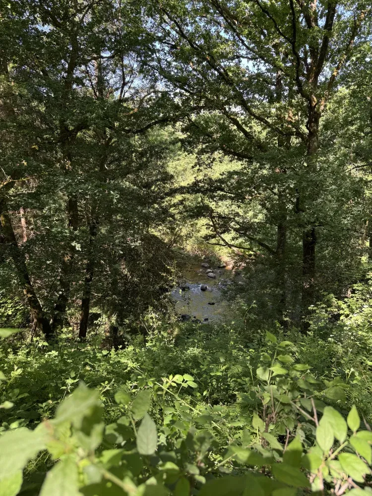 Maison en pierre à rénover à Saint-Médard-la-Rochette, Creuse, avec 6 702 m² de terrain et accès à la rivière — photo 9