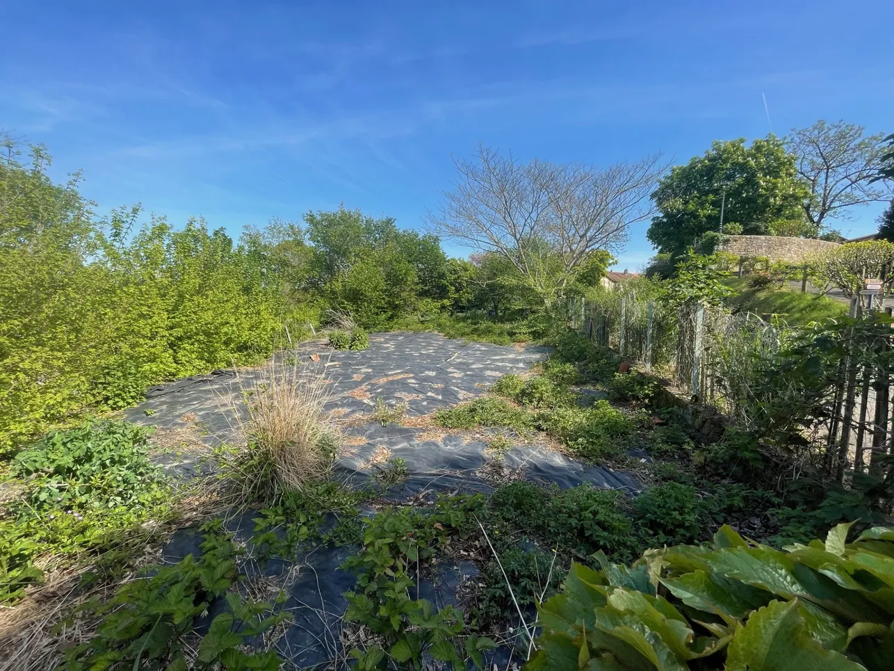 Maison de village en pierre avec jardin à Auch, Gers — photo 10