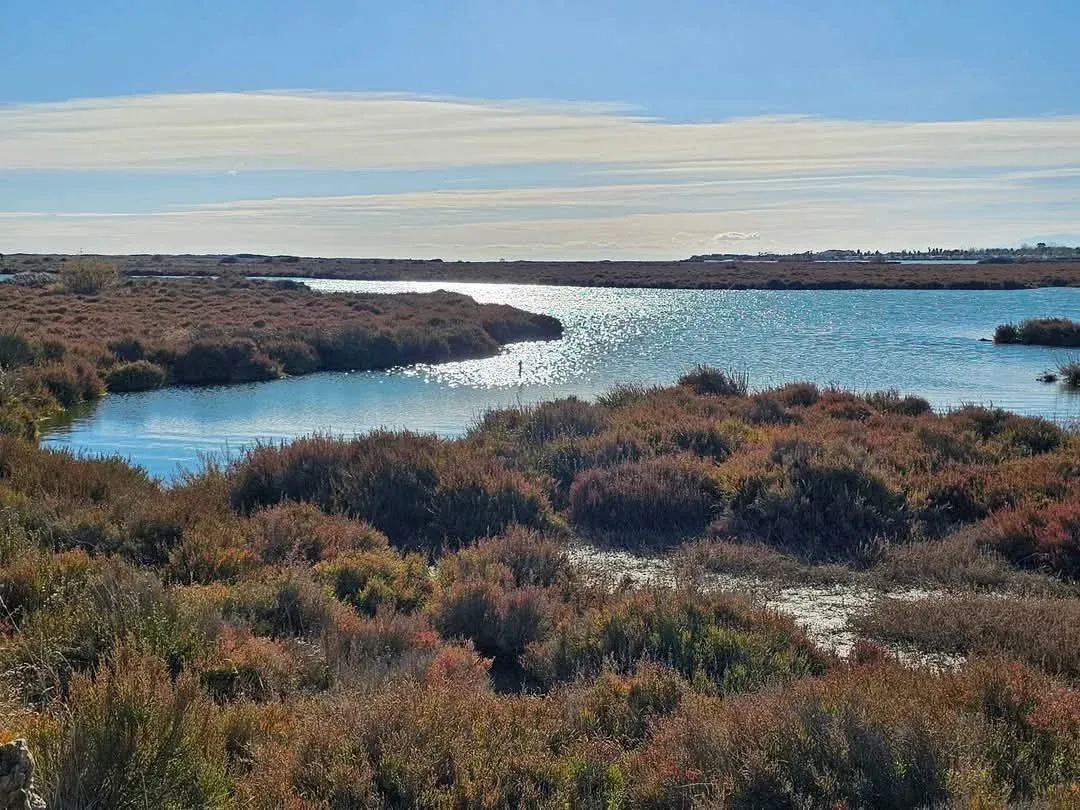 Maison d’angle à vendre à Portiragnes, Hérault, à 500 m de la plage — photo 2