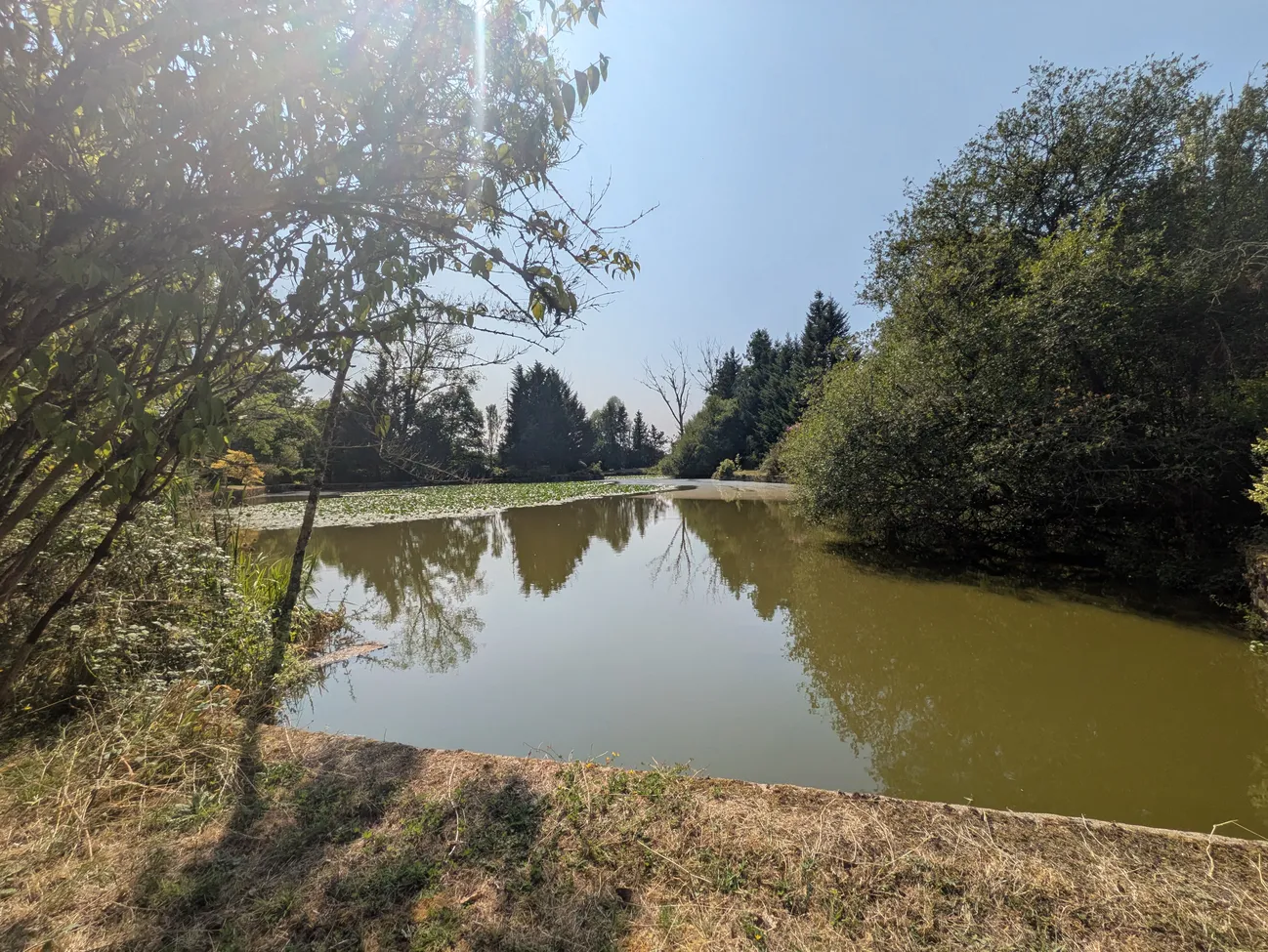 Les Châteliers, Deux-Sèvres : maison en pierre à rénover avec étang privé — photo 4