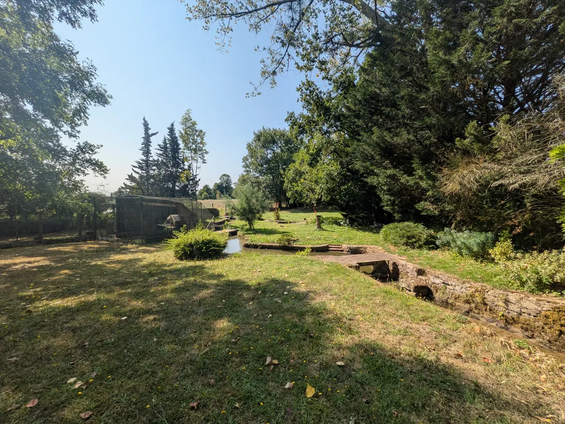 Les Châteliers, Deux-Sèvres : maison en pierre à rénover avec étang privé — photo 7