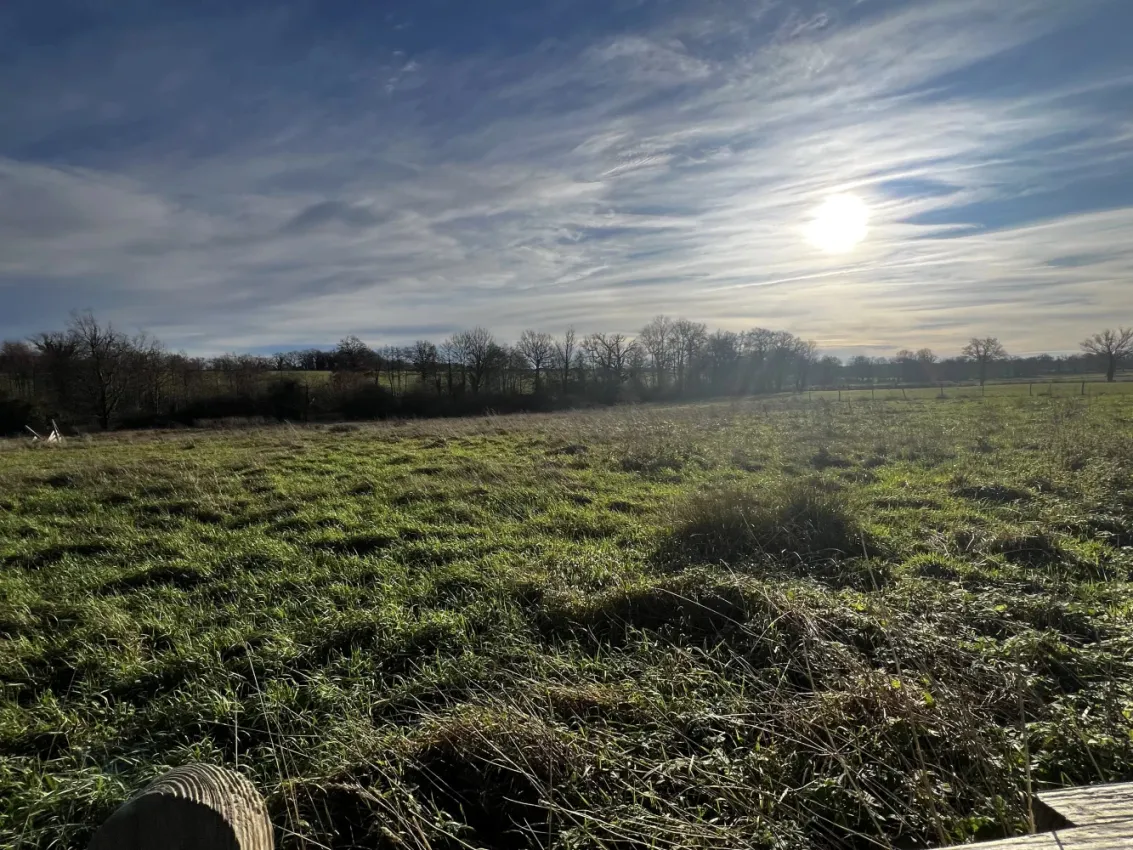 Barns to renovate in Saint-Léger-Magnazeix, Haute-Vienne, with 5,587 m² of land photo 10