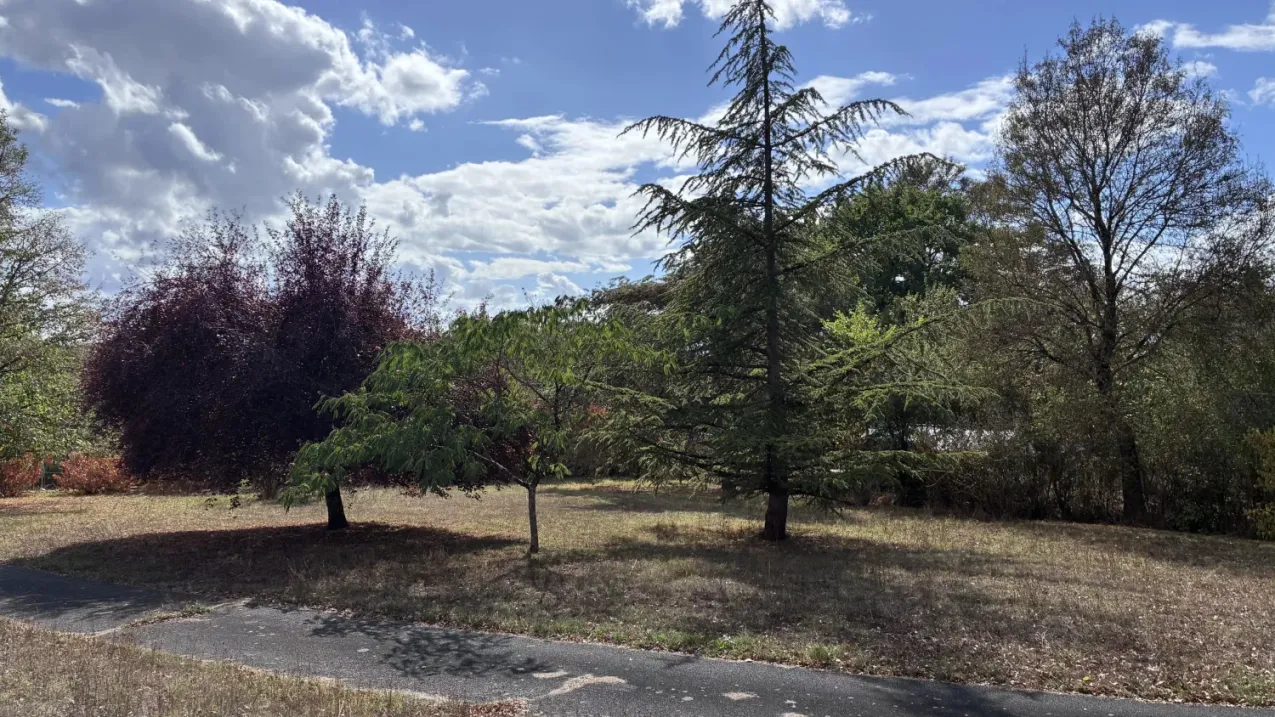 Maison de village à vendre à Bélâbre, Indre, avec jardin de 3 234 m² — photo 2