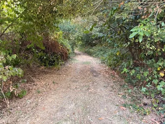 Centre équestre avec logement et 7,94 ha près de Bénodet, Finistère — photo 7
