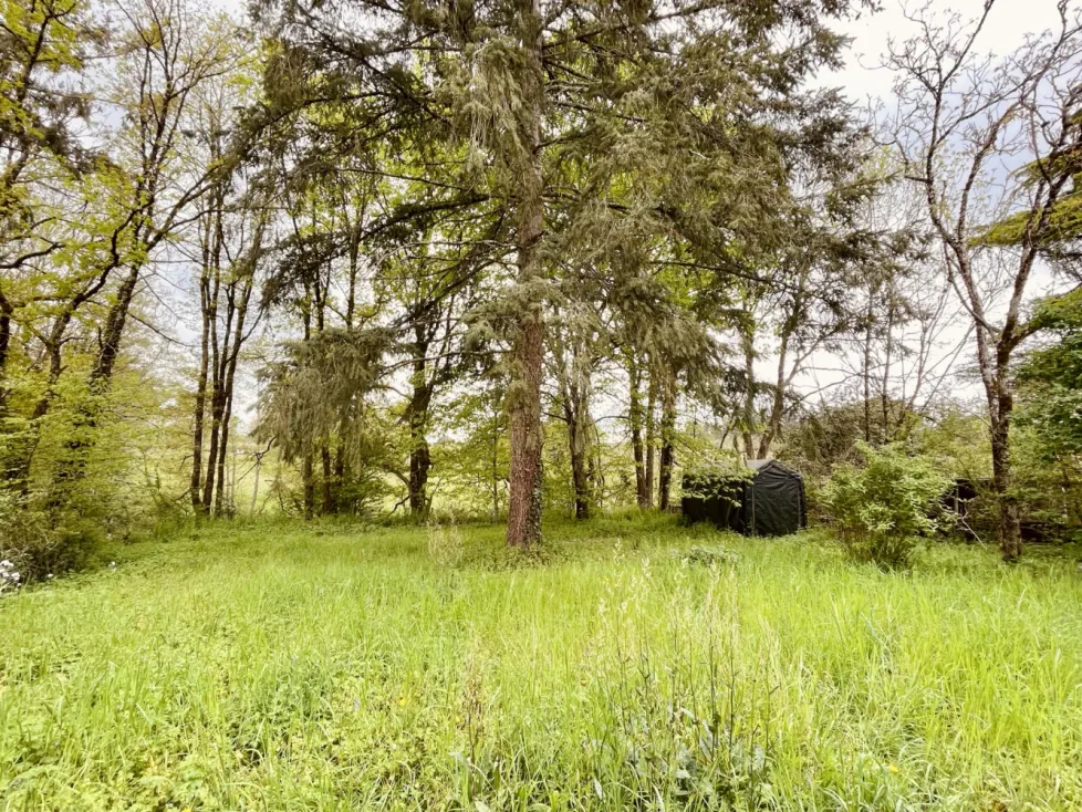 Maison en pierre à Chirac, Charente, avec jardin et dépendances — photo 3