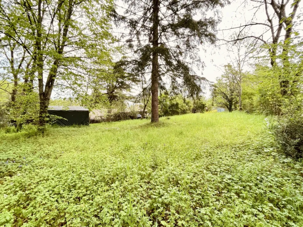 Maison en pierre à Chirac, Charente, avec jardin et dépendances — photo 9