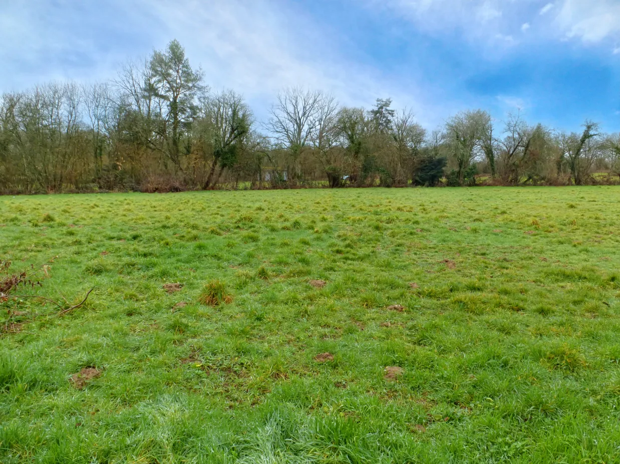 Village house for sale in Lourdoueix-Saint-Michel, Indre – 98 m² and 9,350 m² of land photo 4