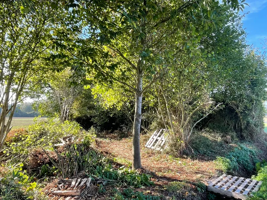 Le Mené, Côtes-d’Armor : maison en pierre à rénover avec terrain de 1 193 m² — photo 7