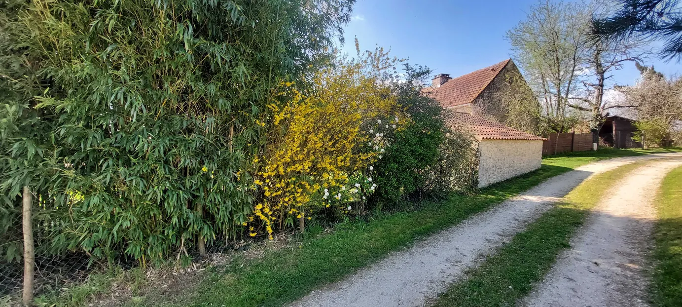 Quercy Stone House for Sale in Thédirac, Lot – Two Restored Outbuildings photo 10