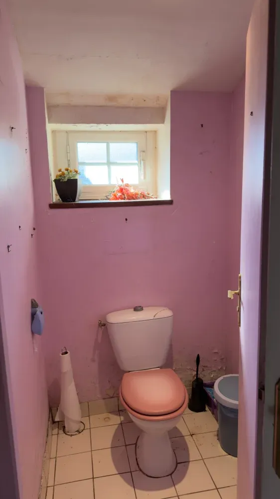 Maison en pierre à rénover avec dépendance à Malguénac, Morbihan — photo 6
