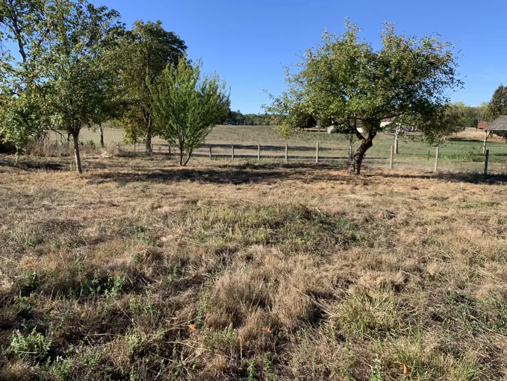 Chalais, Indre : maison à rénover avec jardin clos de 8 584 m² — photo 5