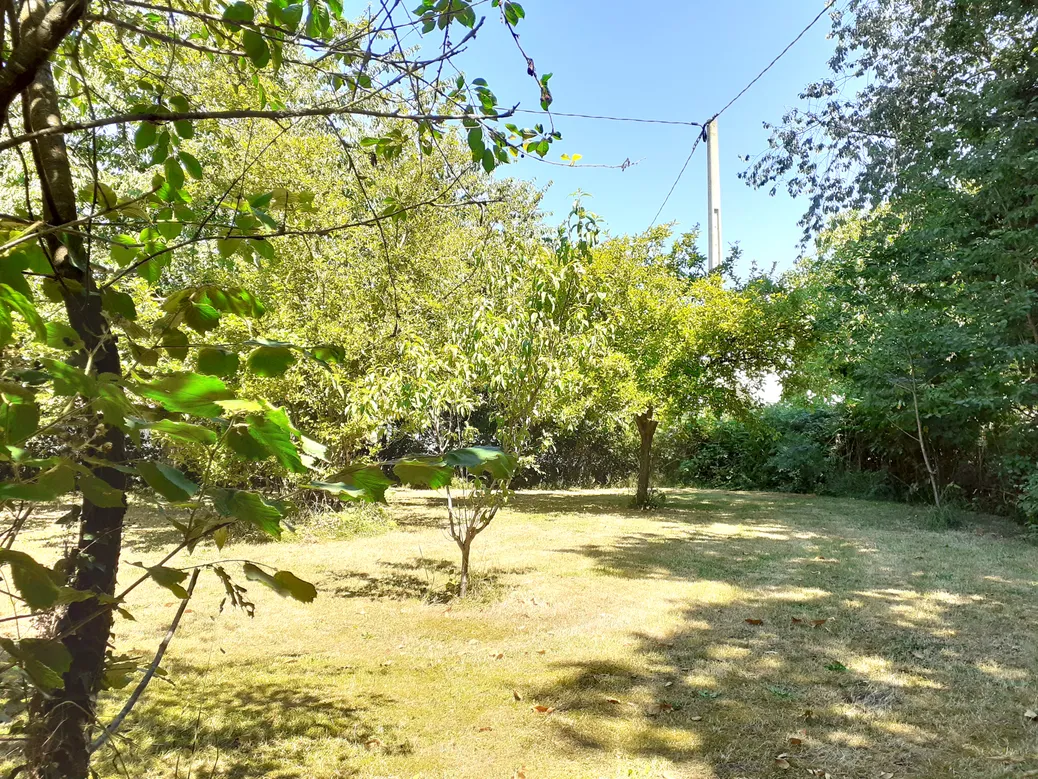 Country House with Orchard in Sacey, Manche photo 4