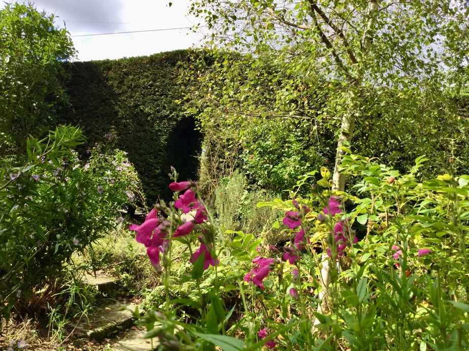 Country House with Orchard in Sacey, Manche photo 5