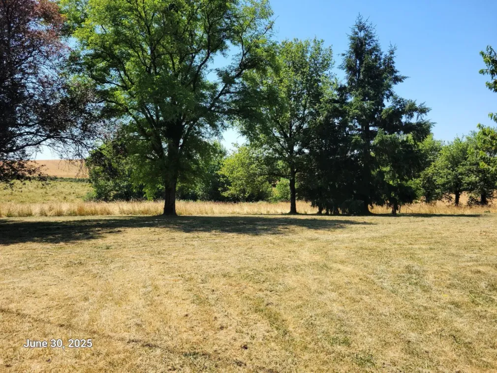 Secluded stone farmhouse with outbuildings 7 km from Villefranche-de-Rouergue photo 4