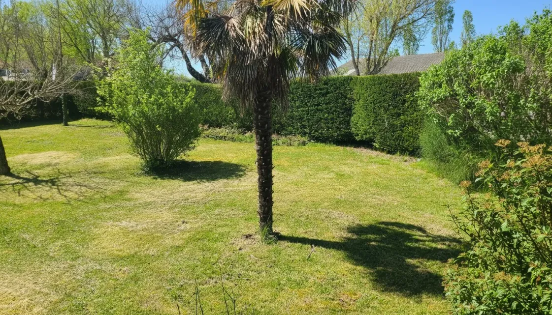 Country house in Lauzerte with professional potential and family living photo 6