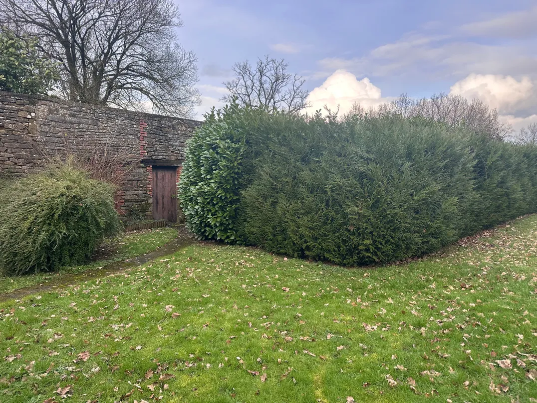 Country house to renovate with outbuilding and large plot in Loyat photo 10