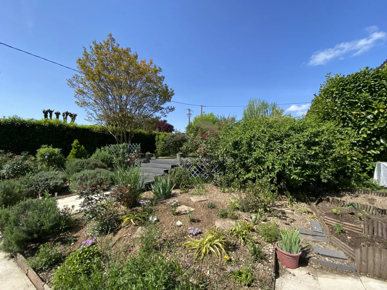 Detached Village House with Pool and Garden in Charente photo 10