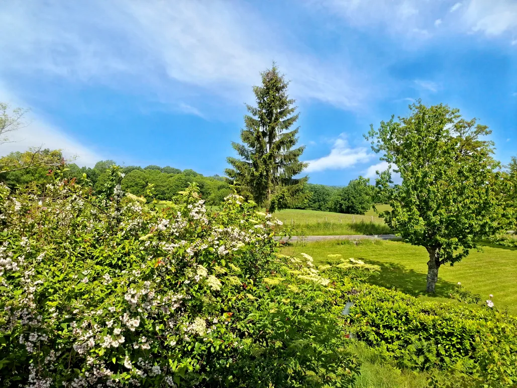 Maison de caractère en pierre avec jardin à Champagnac-la-Rivière — photo 7
