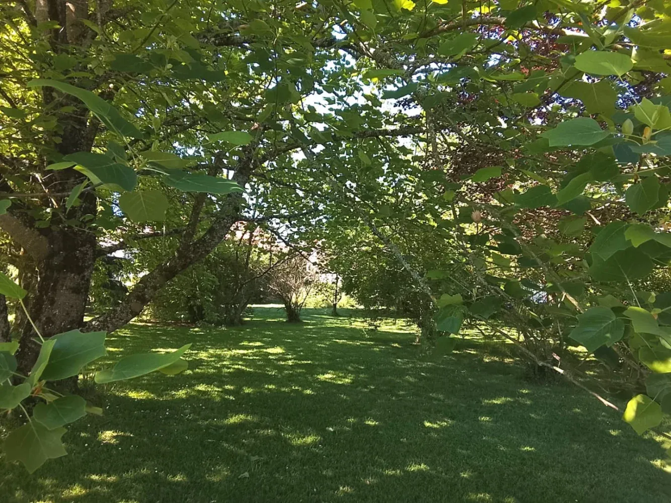 Single-Storey Village House with Garden in Nouic photo 4