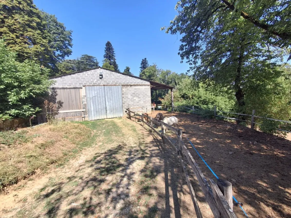 Maison de plain-pied avec propriété équestre près d’Eymoutiers — photo 8