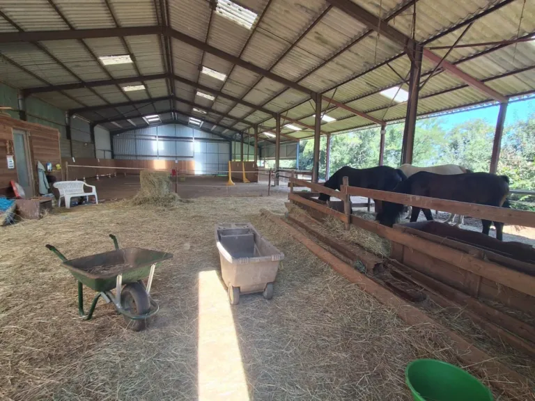 Maison de plain-pied avec propriété équestre près d’Eymoutiers Photo du bien
