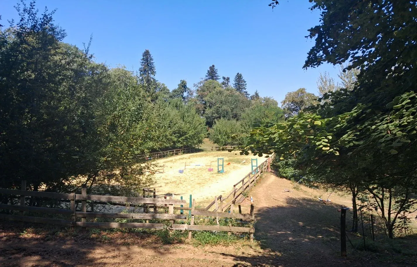 Maison de plain-pied avec propriété équestre près d’Eymoutiers — photo 2