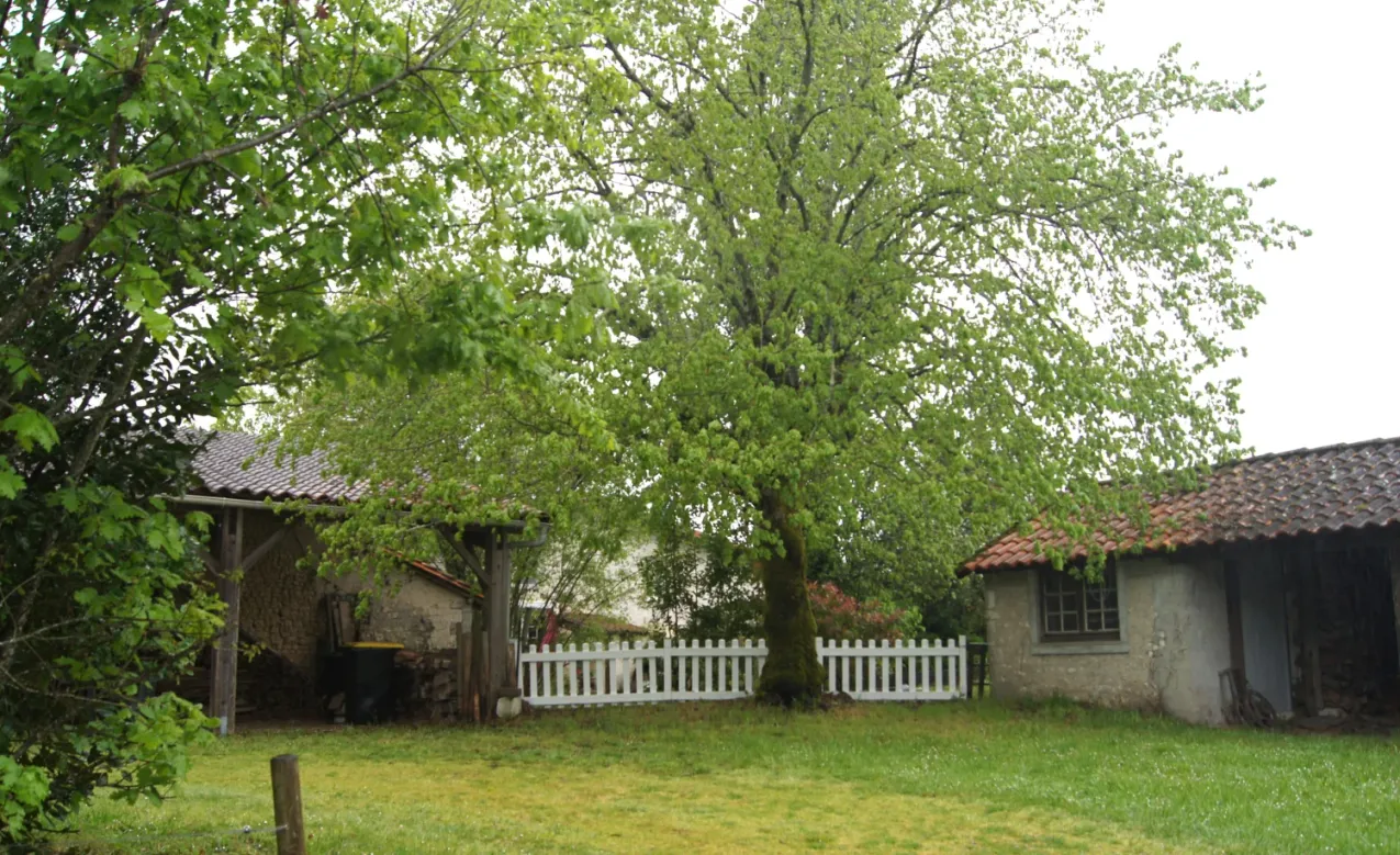 Stone Country House with Cottage, Pond and Wooded Garden in Condéon photo 6