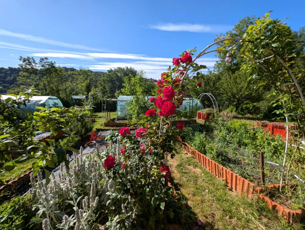 Maison de campagne rénovée avec jardin et bois à Capdenac — photo 10