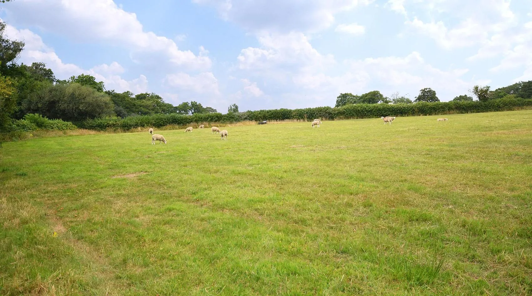 98.7 Acres of Agricultural Land for Sale in Broad Oak, Carmarthenshire photo 3