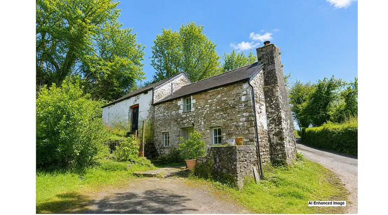 Porthyrhyd, Carmarthenshire Cottage with Stone Barns and 5 Acres for Sale property photo