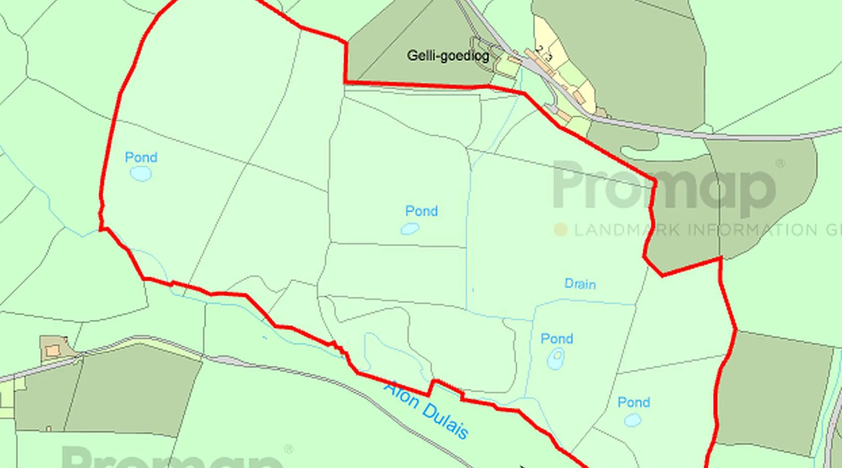 55-Acre Young Broadleaf Woodland for Sale in Cwmdu, Carmarthenshire photo 2