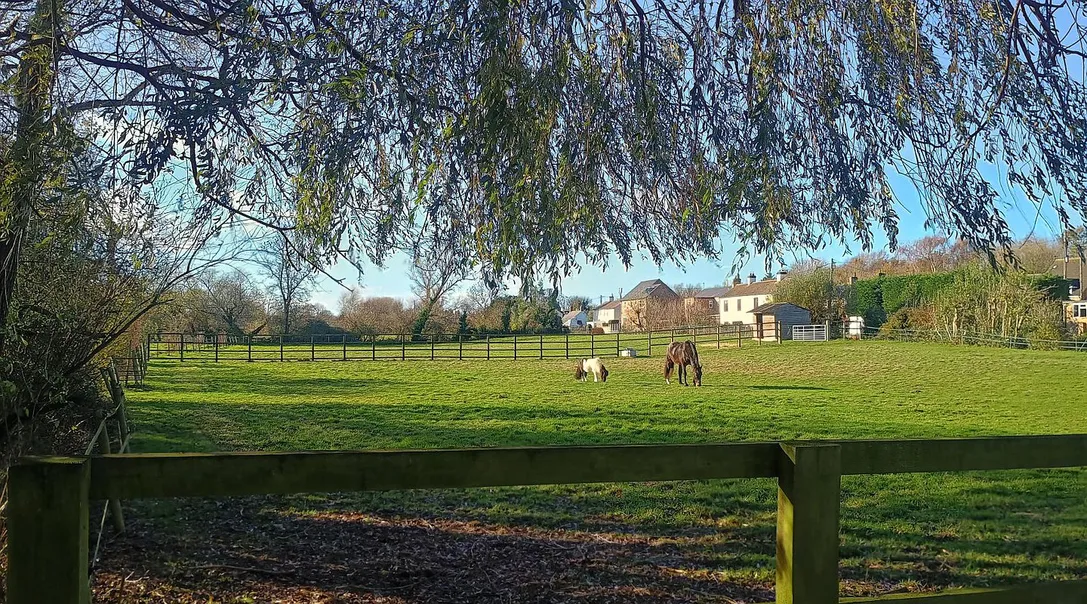 Equestrian Country Home with 4.6 Acres in Somersham, Cambridgeshire photo 4
