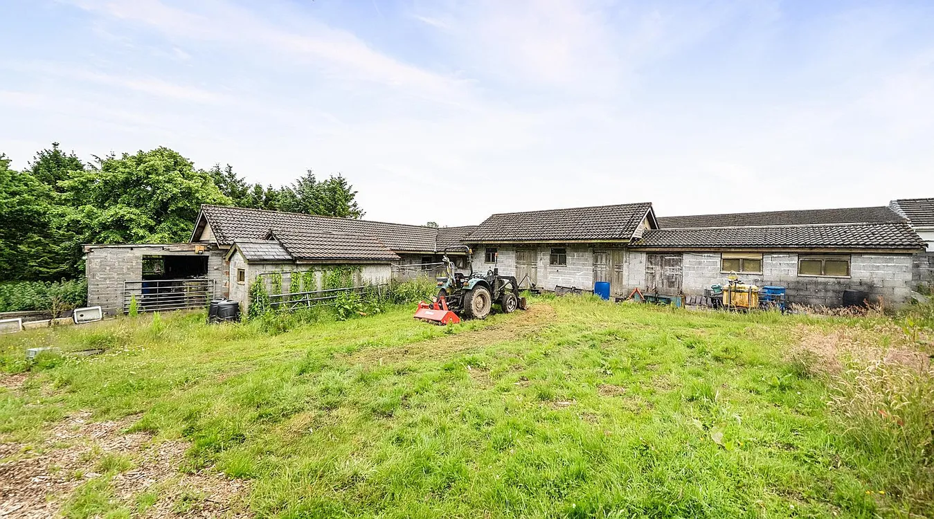 Spacious Single-Storey Bungalow with Equestrian Facilities near Mynyddcerrig, Carmarthenshire photo 2