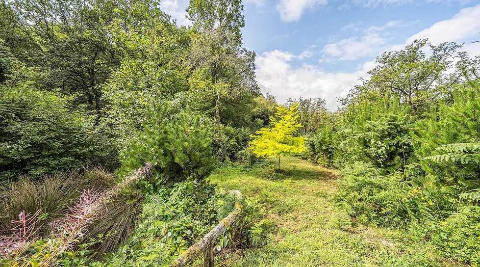 Traditional Cottage in Gwernogle, Carmarthenshire, with 2.6 Acres photo 3