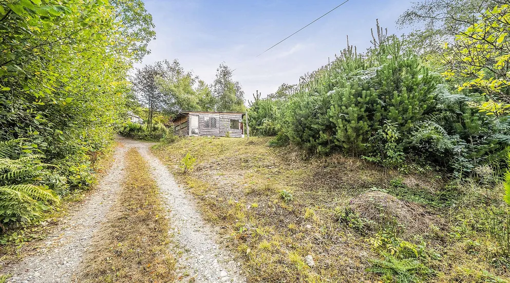 Traditional Cottage in Gwernogle, Carmarthenshire, with 2.6 Acres photo 4