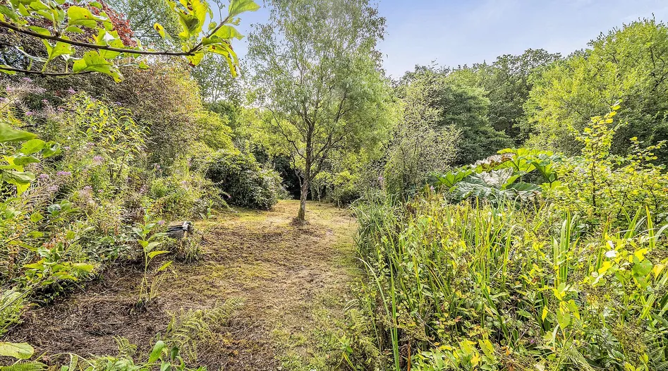 Traditional Cottage in Gwernogle, Carmarthenshire, with 2.6 Acres photo 2
