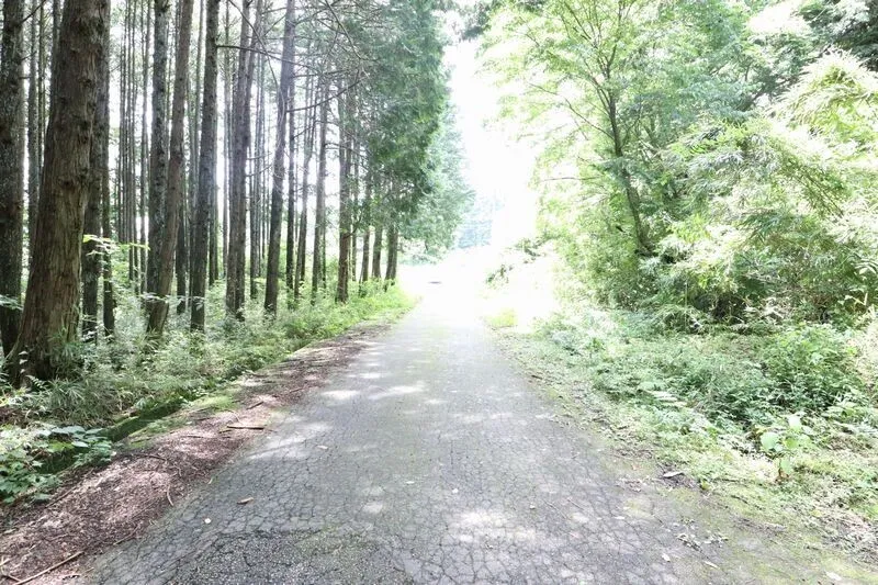 Land on elevated ground in Itaga, Kanuma City, Tochigi Prefecture, 552.83 m² · ¥3.3 million photo 4