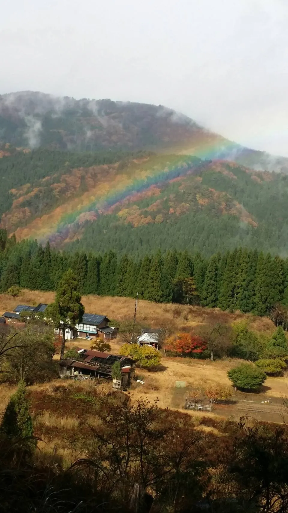 Historic Rural Home Property in Yabu, Hyogo Prefecture | Meiji 5-Era Storehouse, Showa 5-Era Main House, Forest and Chestnut Orchard, Offered at ¥0 photo 7