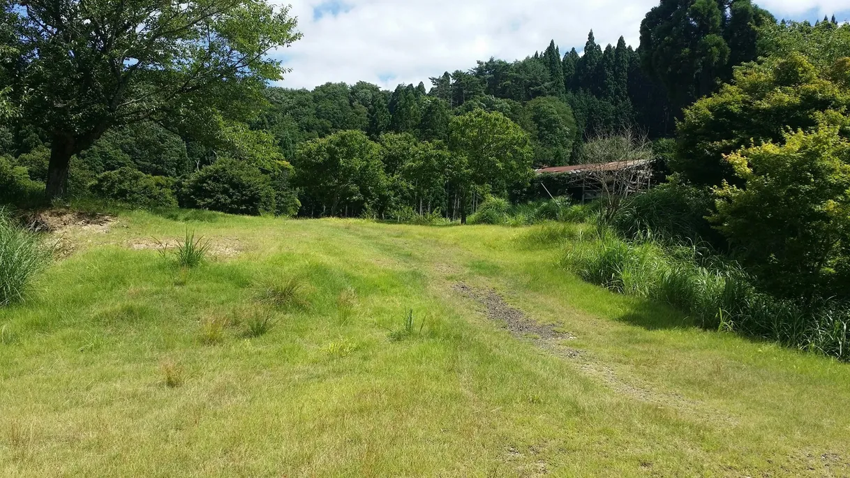 Historic Rural Home Property in Yabu, Hyogo Prefecture | Meiji 5-Era Storehouse, Showa 5-Era Main House, Forest and Chestnut Orchard, Offered at ¥0 photo 5