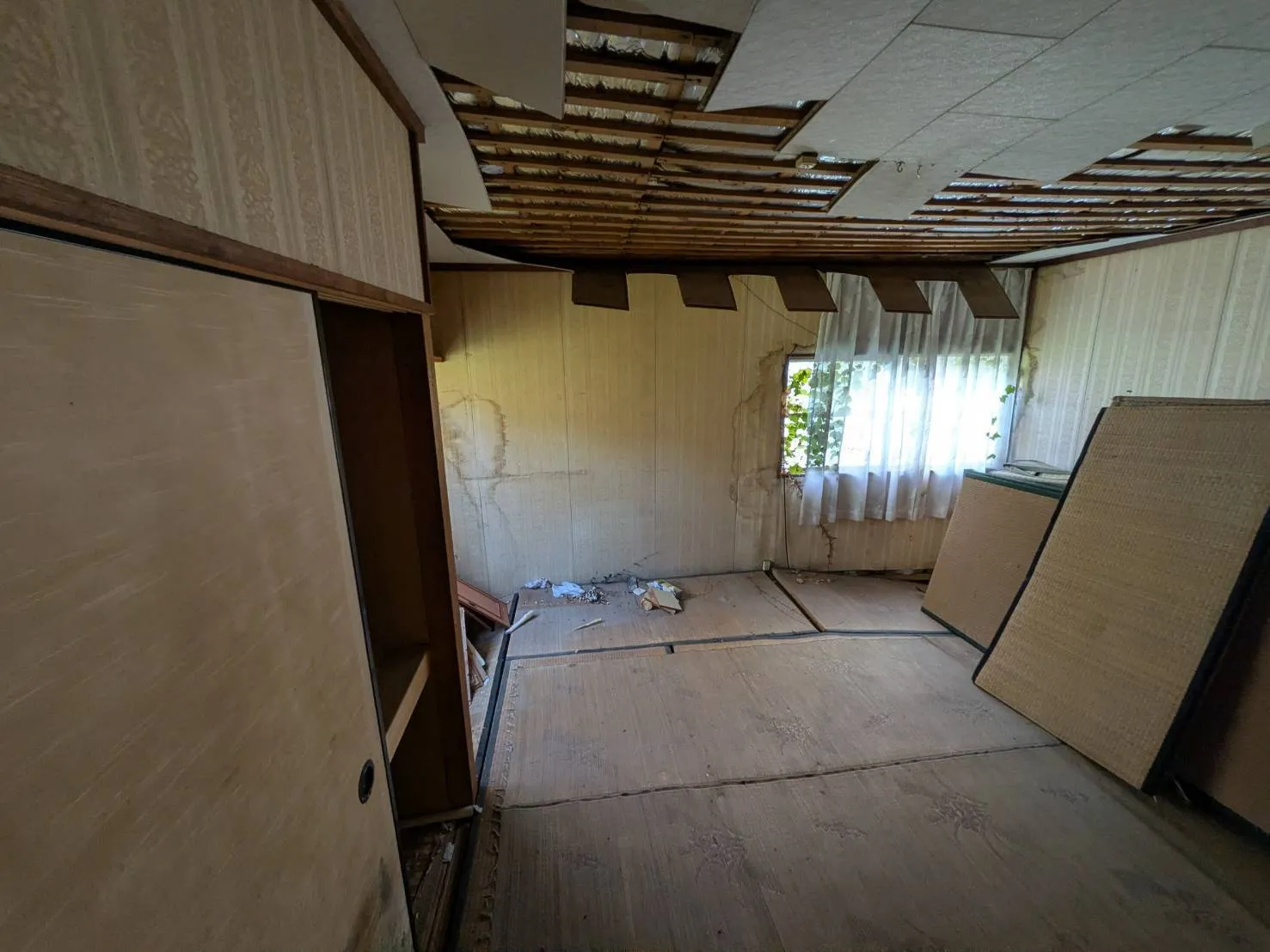 和歌山県伊都郡九度山町椎出の中古戸建｜平屋・南海高野線沿線 写真 3