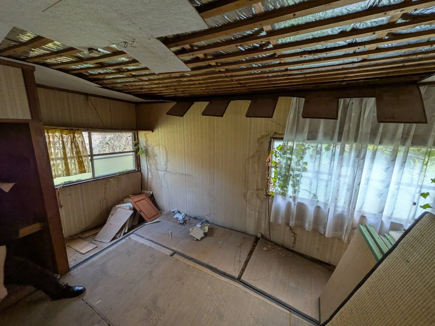 和歌山県伊都郡九度山町椎出の中古戸建｜平屋・南海高野線沿線 写真 5