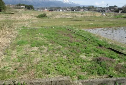 新潟県佐渡市鍛冶町の平屋4K中古戸建て｜畑あり・土地851㎡ 写真 9